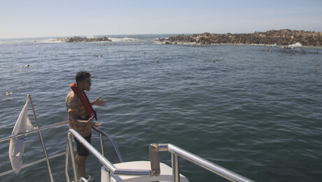 Het Klokhuis | Zuid-Afrika: Zeesafari